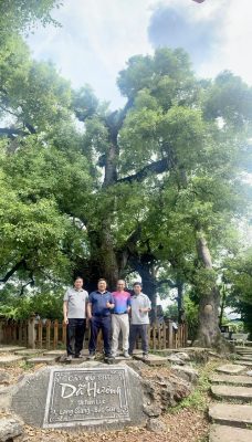 Cây cổ thụ Dạ Hương hơn 1000 năm tuổi